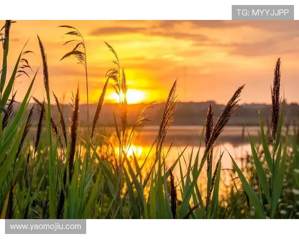 云开象征希望与新生，迎接未来的曙光