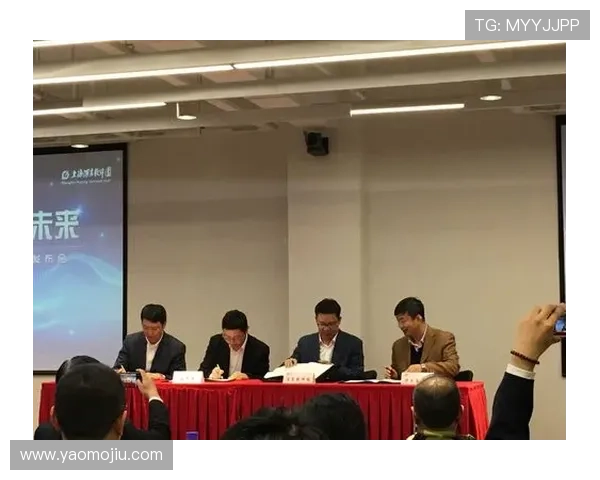 开云app官方入口：官方入口访问的安全风险与防护技巧