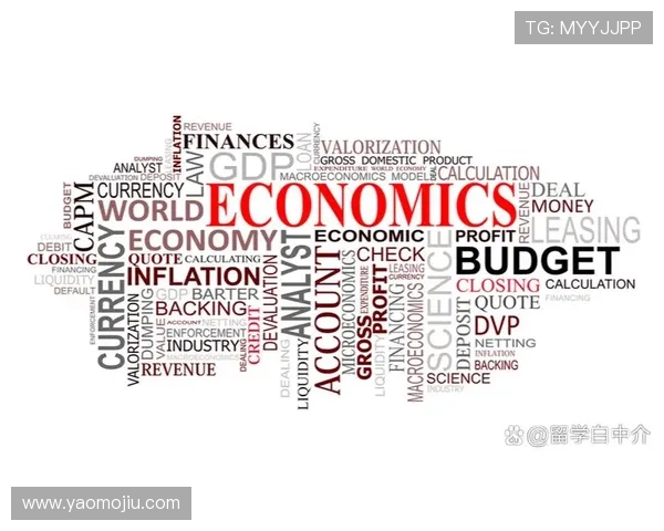 亚星平台登录入口登录流程优化，提升用户体验的实用建议