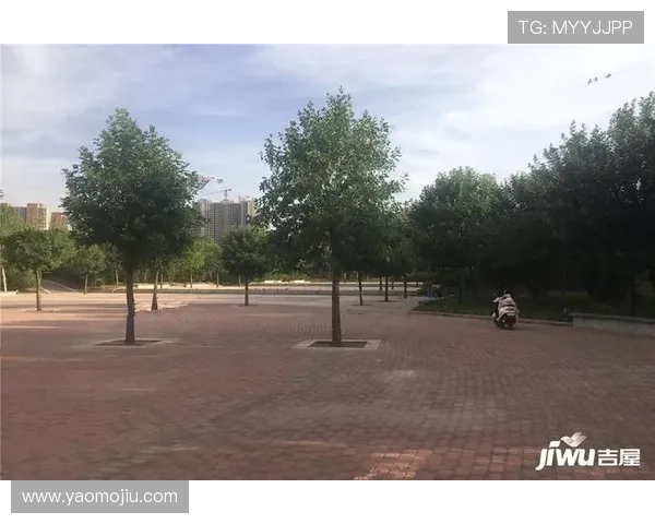 亚星游戏官网登录入口111安全稳定登录方法详解