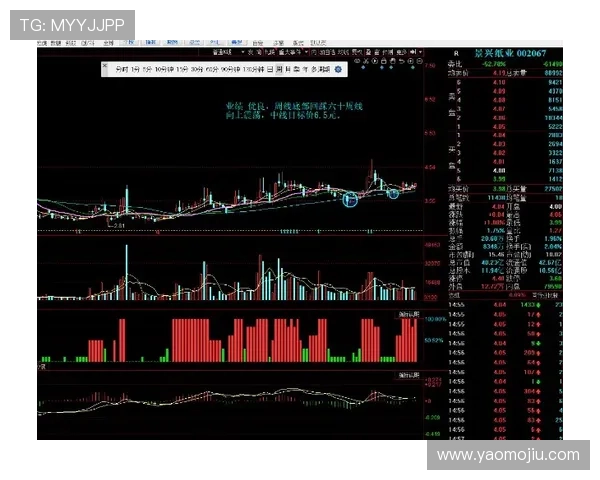 东方财富ST亚星股票未来潜力评估及专家意见,提供专业投资参考依据 东方财富ST亚星股票未来潜力评估及专家意见,提供专业投资参考依据